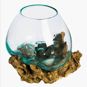 Viva Terra Teak & Blown Glass Terrarium Planter 🌱